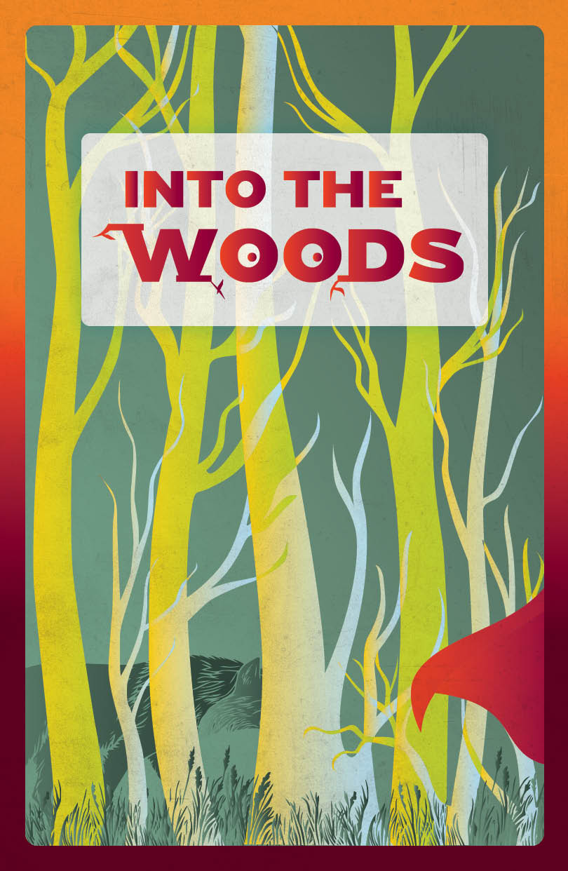 Into the Woods poster image