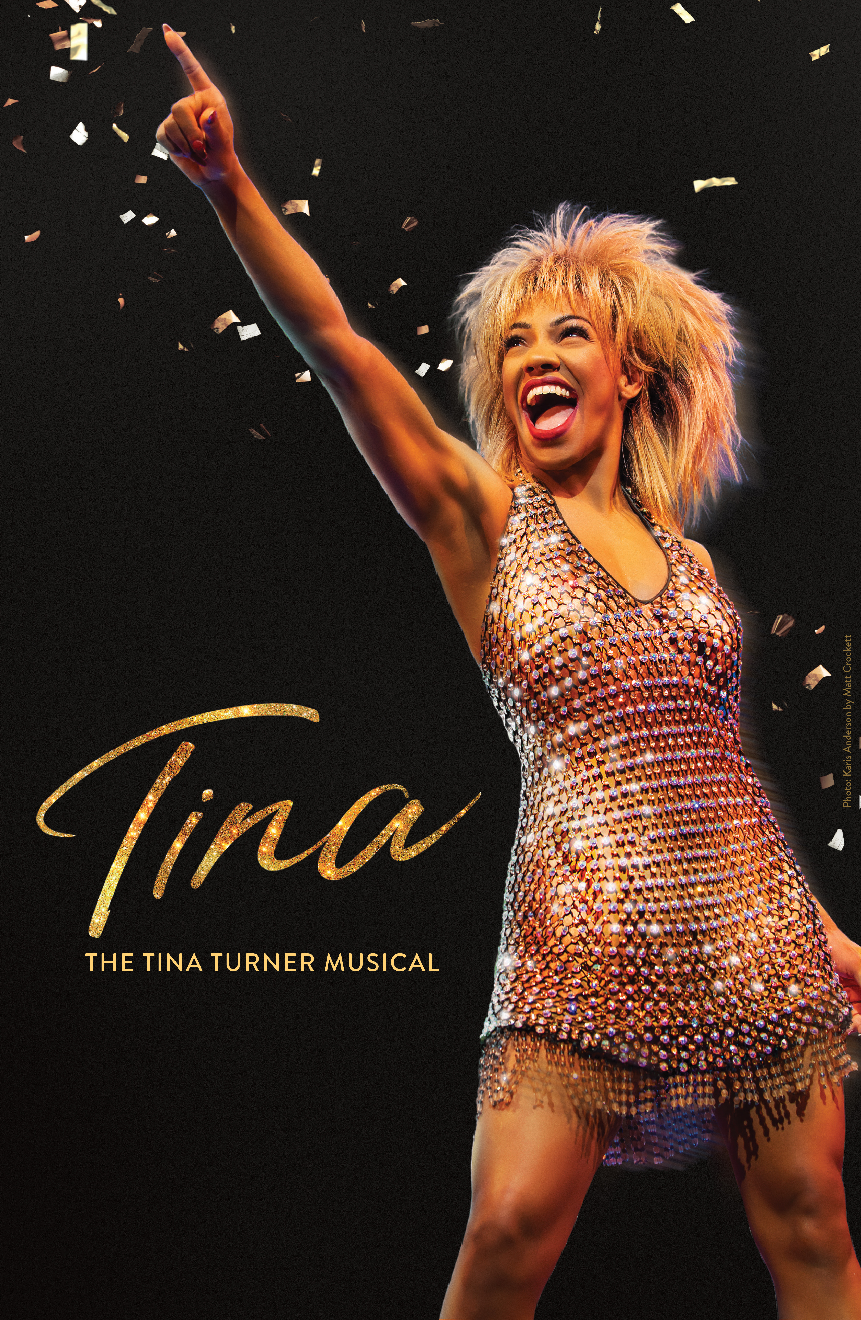 TINA - The Tina Turner Musical poster image